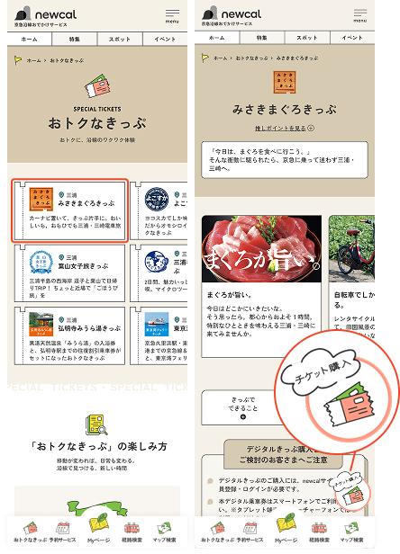 「おトクなきっぷ」の一覧から、購入したいきっぷを選択し、チケット購入ボタンを選択します。