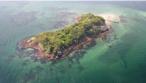 無人島【猿島】