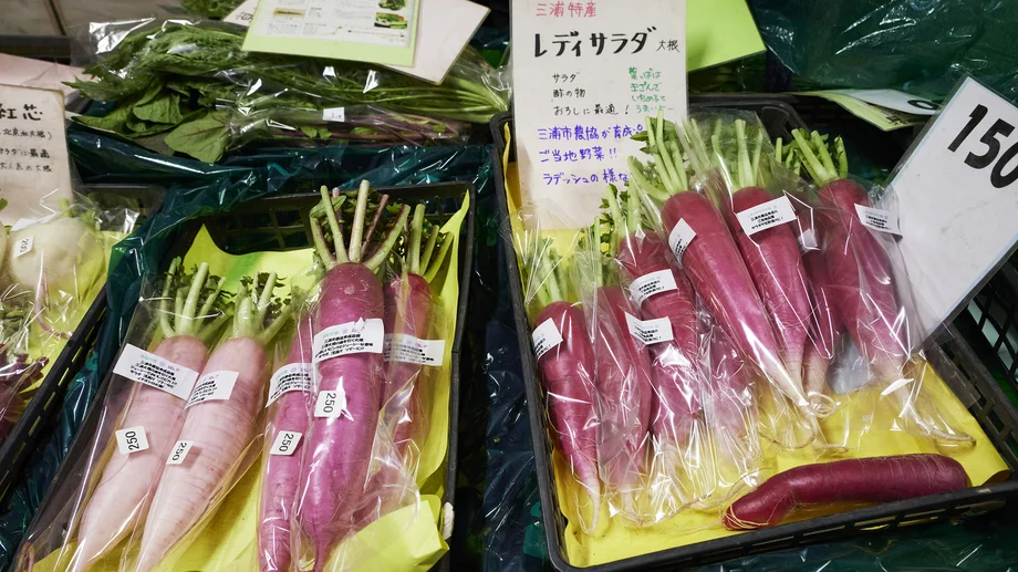 【連載】三浦大根命名100周年デザインＰＪ⑤出荷量1％からの挑戦。受け継がれる三浦大根のDNA