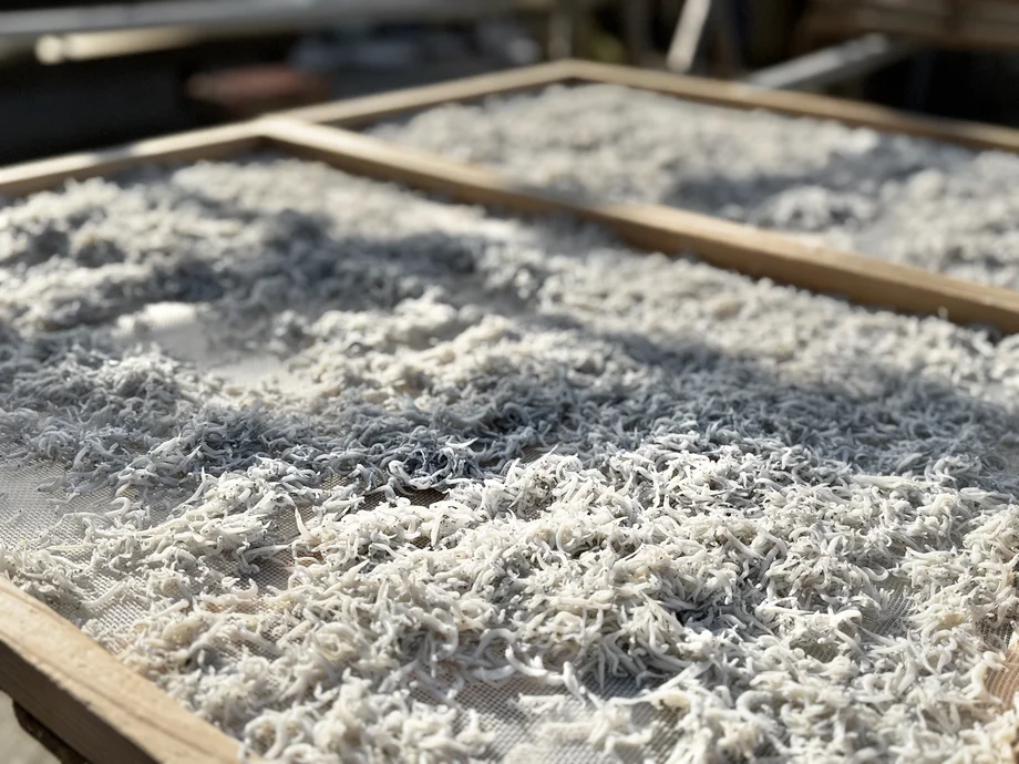 【横須賀】茹で時間4分、レゲエが旨さの秘密？！長井漁港「かねしち丸」の釜揚げしらす