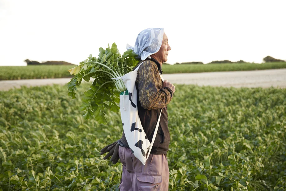 命名100周年を祝う～ファッションデザイナー髙島一精さんの「三浦大根BAG」数量限定で発売中！