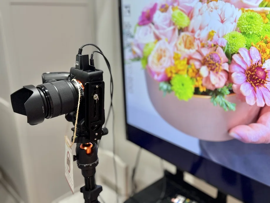 【横須賀】花と写真で人生を残す。老舗花屋「花う」が手がけたセルフフォトスタジオ「CACTUS」