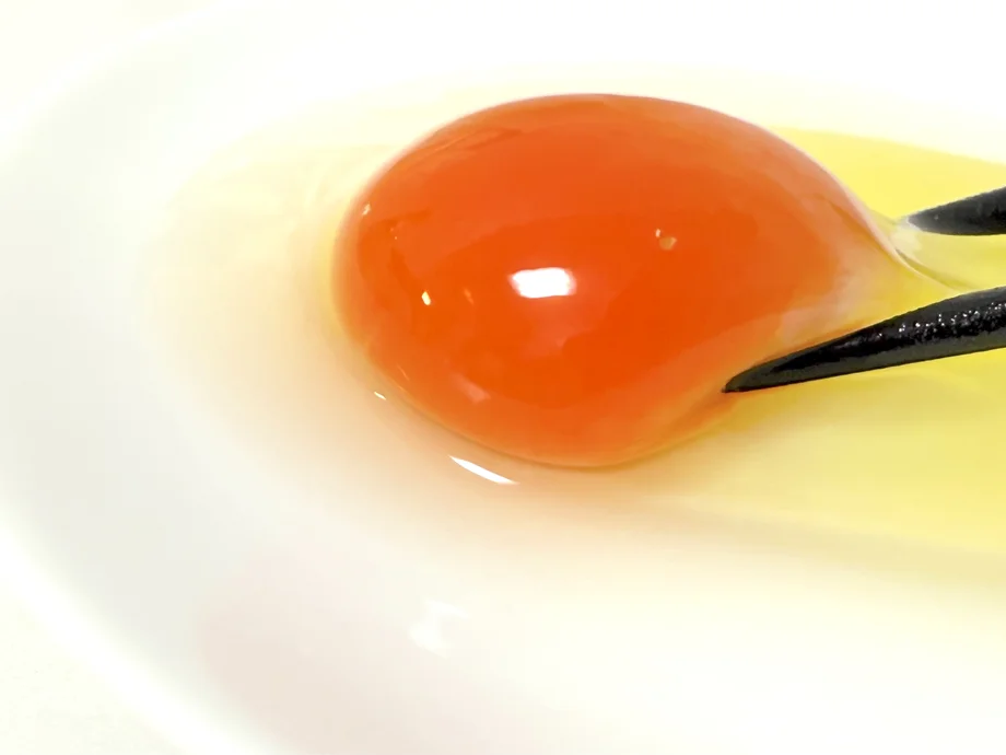 【横須賀】旨い・濃い・贅沢！平飼い卵「姫様のたまご」で味わう究極のTKG｜岩沢ポートリー