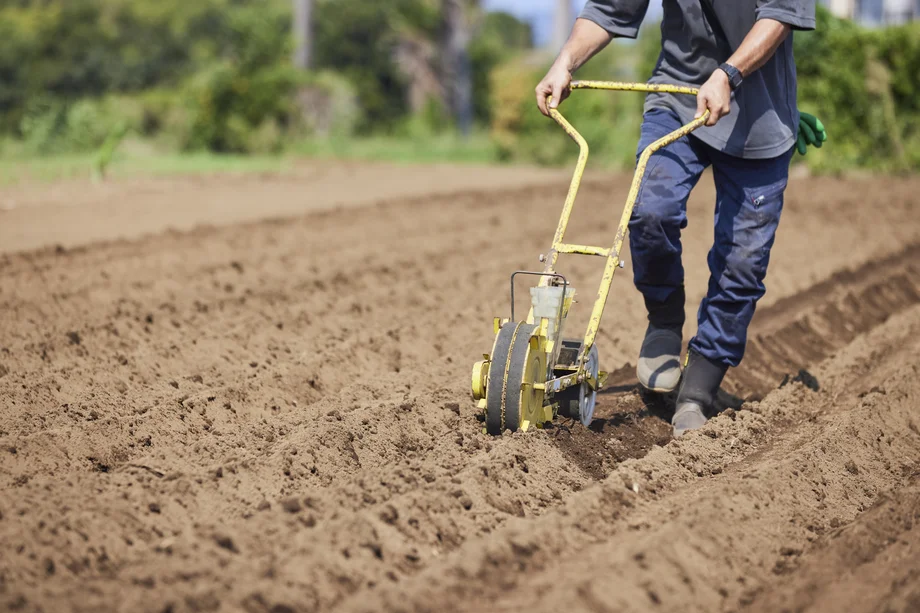 【連載】三浦大根命名100周年デザインプロジェクト③ふかふかの土から始まる『三浦大根』の種まき