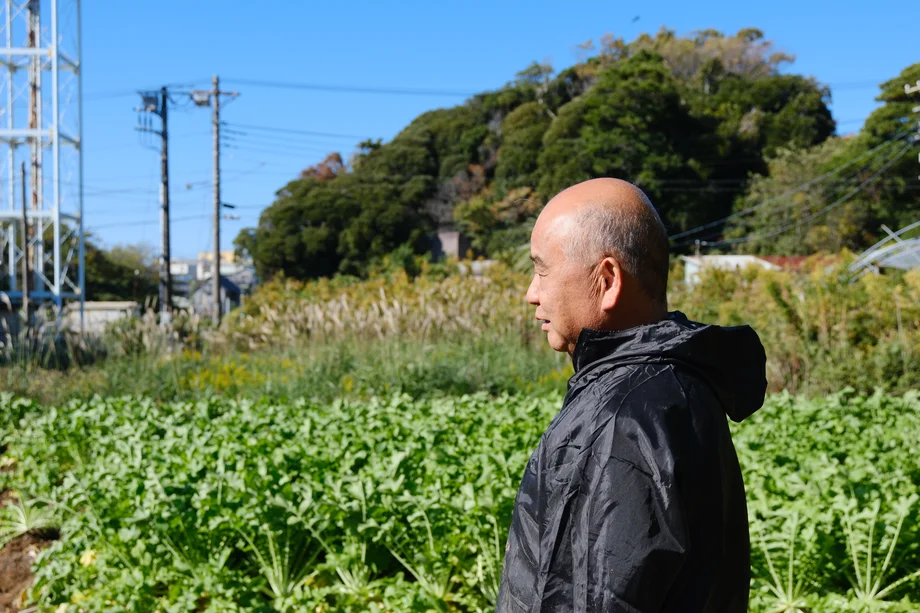 【連載】三浦大根命名100周年デザインプロジェクト②三浦大根のルーツを辿る旅　後編