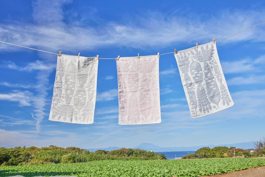 三浦野菜もようを纏う。生産者の物語と繋がる「三浦野菜もようのキッチンタオル」発売開始