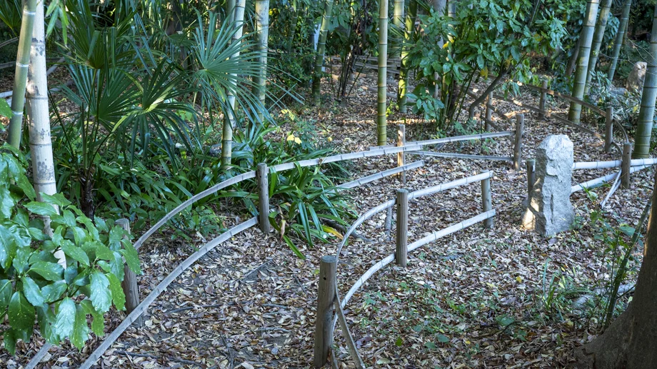 【横須賀】竹林に抱かれた現代美術の森「カスヤの森現代美術館」で庭園アートツアー
