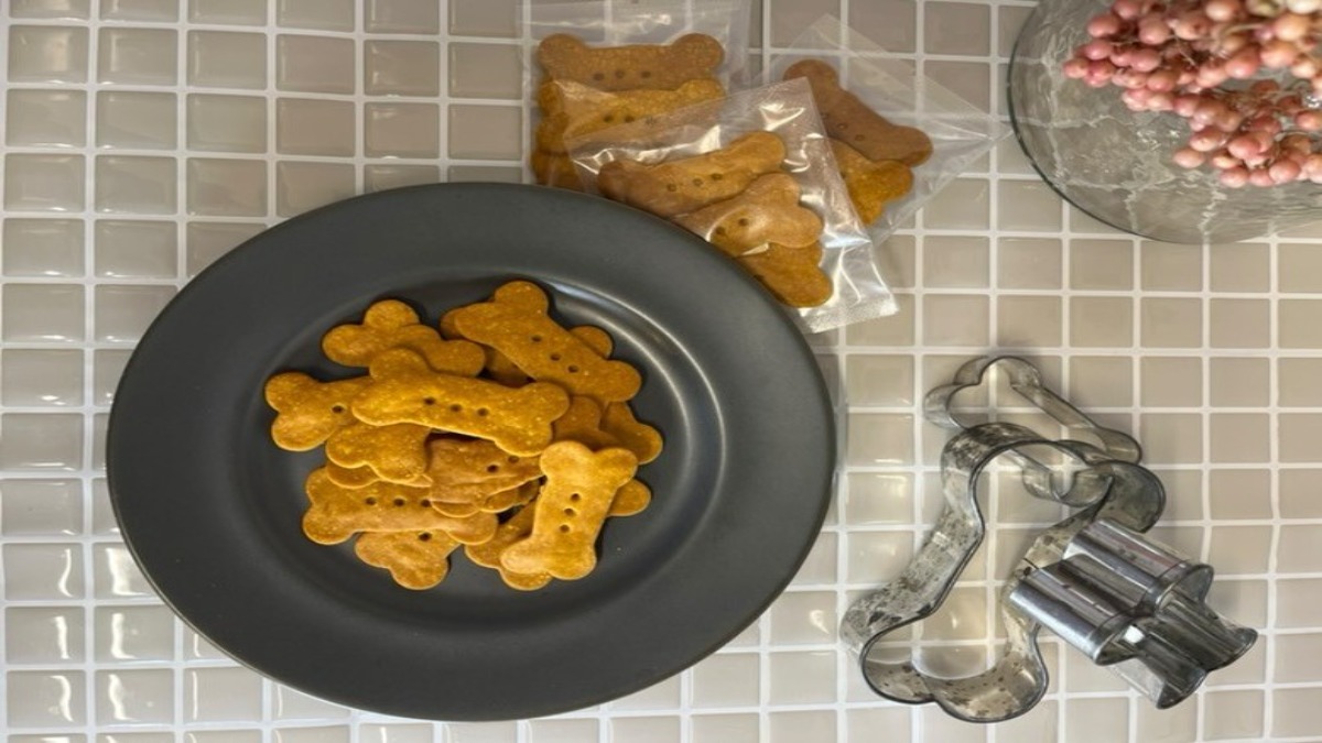 こんなことできます