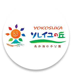 長井海の手公園　ソレイユの丘の画像
