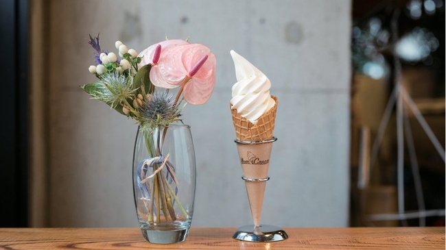 ソフトクリーム&プチフラワーギフト
