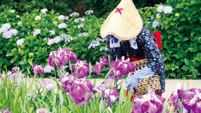 入園料(4月~6月)<br> 大人320円→210円<br> 小中学生100円→60円