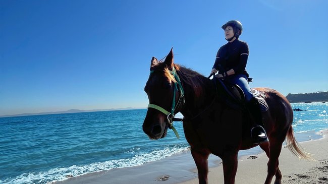 初心者コース(海岸外乗or海馬)5%割引+お土産進呈<br> ※予約時にご申告ください。