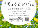「よこすかぐらし」 の魅力を発信するホームページ「Live in YOKOSUKA」を開設！