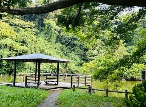 途中下車の旅、能見台駅で降りてみたら、心と体がほぐれるおでかけができました