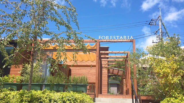 きのこが主役!上大岡の隠れ家イタリアンで過ごすランチタイム