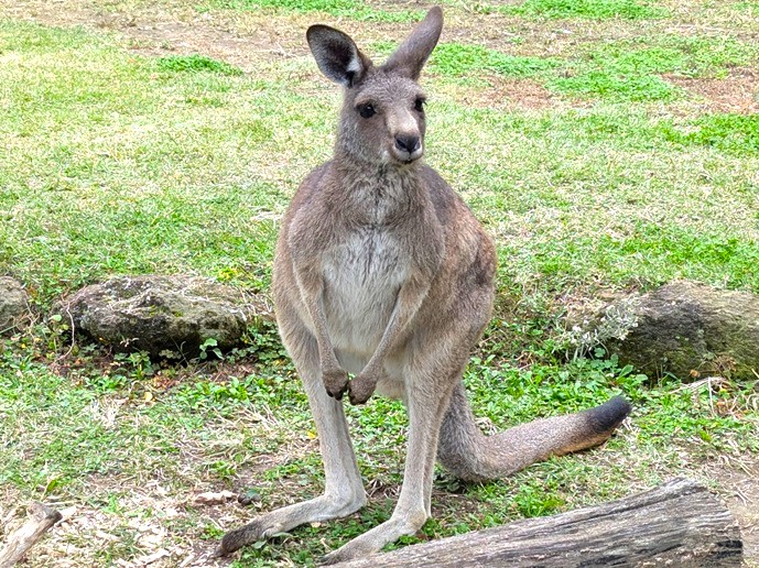 ワイルドライフがここに！～金沢動物園～