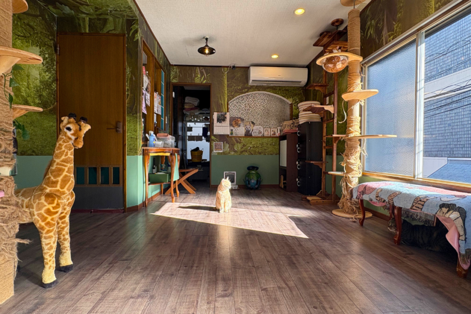 しゃるむガーデン 上大岡