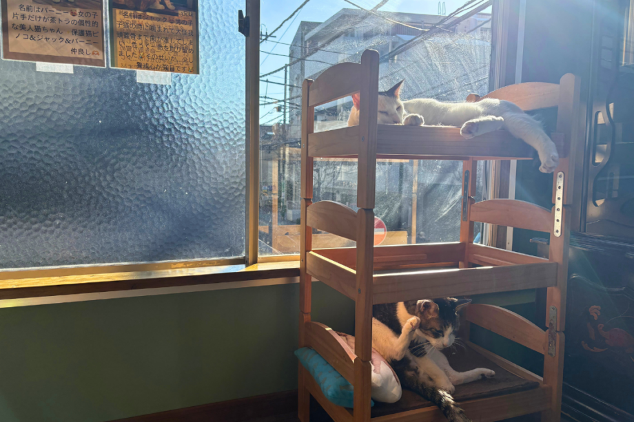 しゃるむガーデン 上大岡