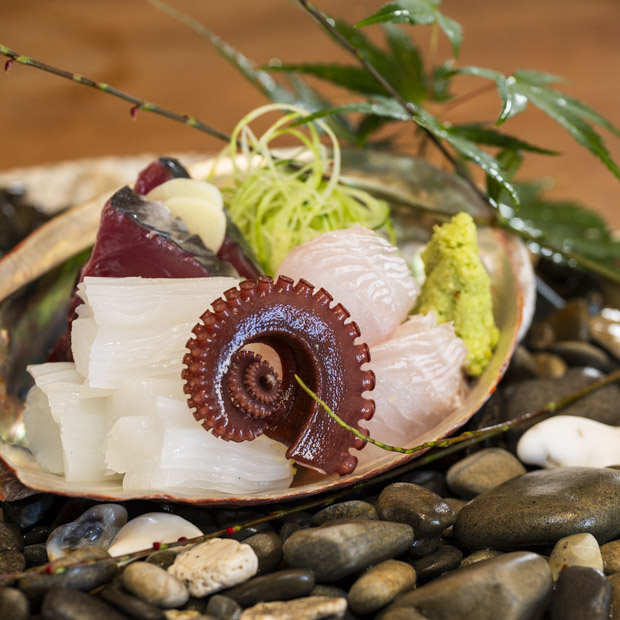【葉山】魚愛あふれる店主の「金魚花鯛」佐島タコと地魚の4種刺身盛り