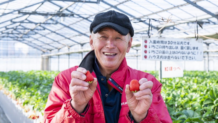 【横須賀】30分イチゴ食べ放題！三浦育ちの旬を味わう「津久井浜観光農園」