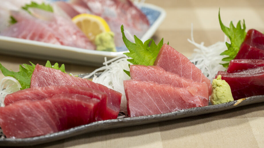 【三崎】店主の目利きが光る「まるいち食堂」でマグロの部位を食べくらべ