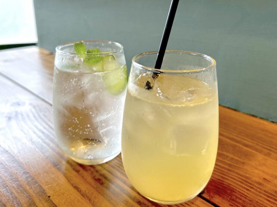 【横須賀】yaamが提案する新しいヴィーガン料理の楽しみ方 ハーブチューハイとヴィーガン餃子