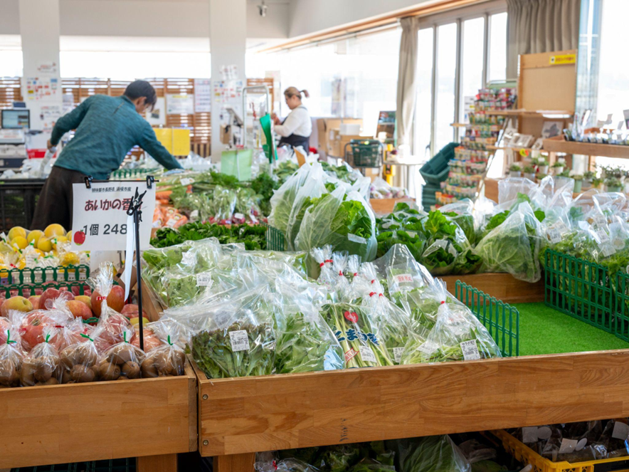 三崎】うらりマルシェ「やさい館」で旬の野菜と館長・二谷圭介さんの