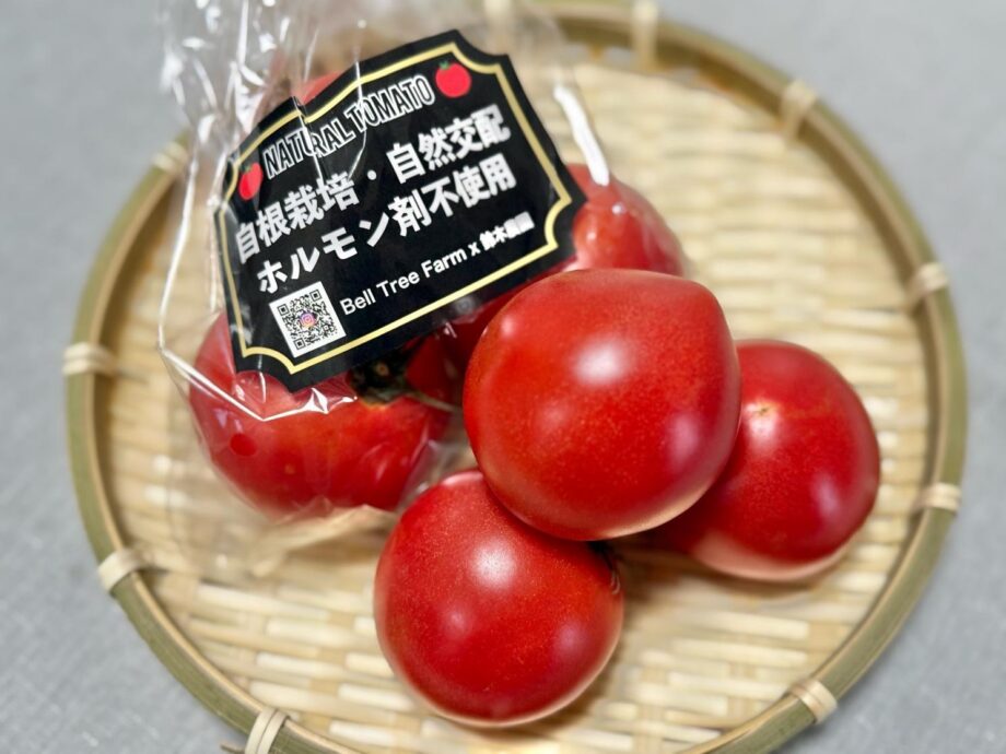 トマト様 横須賀】木で完熟させるトマトは、なぜこんなに甘いのか？自然そのもの