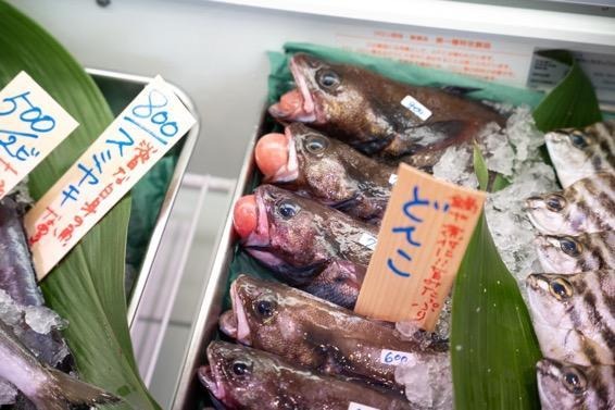 鎌倉】“鎌倉のチベット”に誕生した、新しいスタイルの鮮魚店