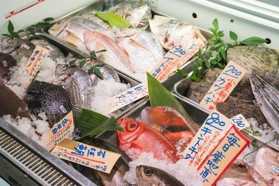 魚屋 鎌倉】“鎌倉のチベット”に誕生した、新しいスタイルの鮮魚店