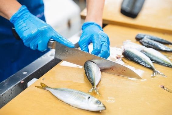 鎌倉】“鎌倉のチベット”に誕生した、新しいスタイルの鮮魚店