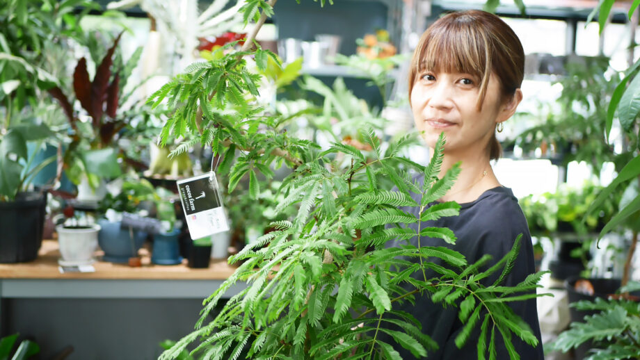 【横須賀】300種の観葉植物とケーキに和む！植物ショップカフェ｜cocos farm
