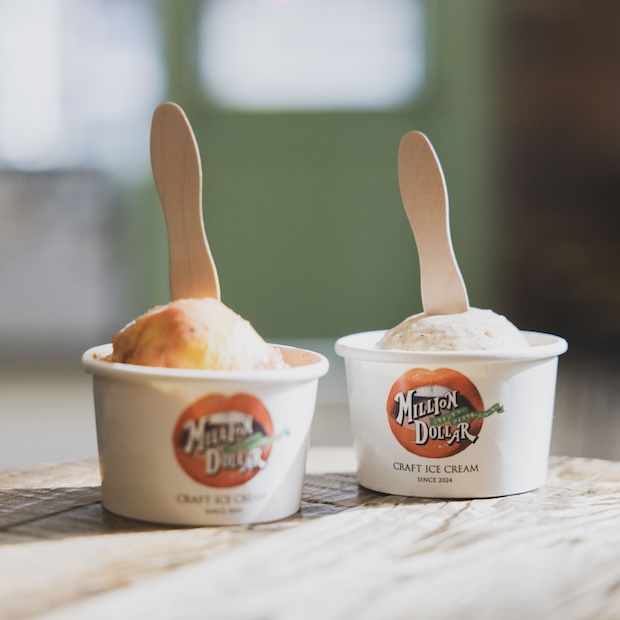 【横須賀】アイスの前ではみんな笑顔に。今さんプロデュースの「ミリオンダラーアイスクリームパーラー」