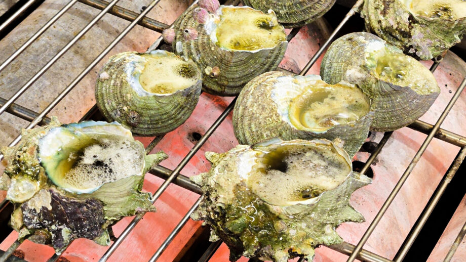 【三崎港】鈴木さん一家がつないだ70年の歴史「さざえや」の網焼きサザエ