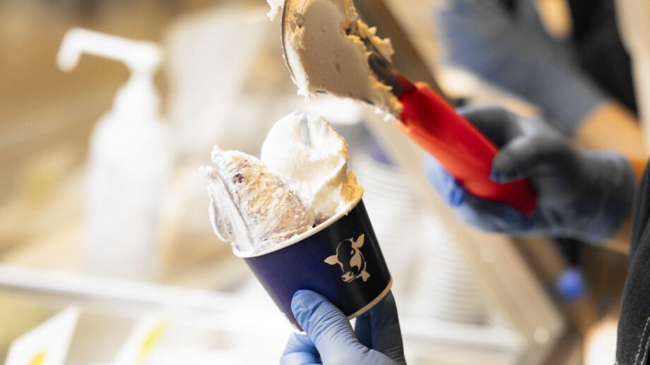 【横須賀】YOKOSUKA GELATO FACTORYが届ける季節と地元の味わい