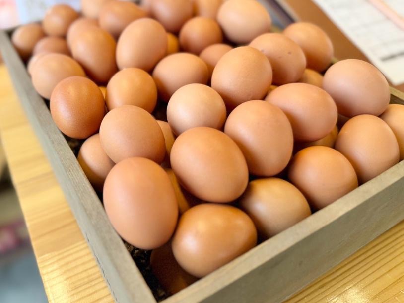 横須賀】旨い・濃い・贅沢！平飼い卵「姫様のたまご」で味わう究極の