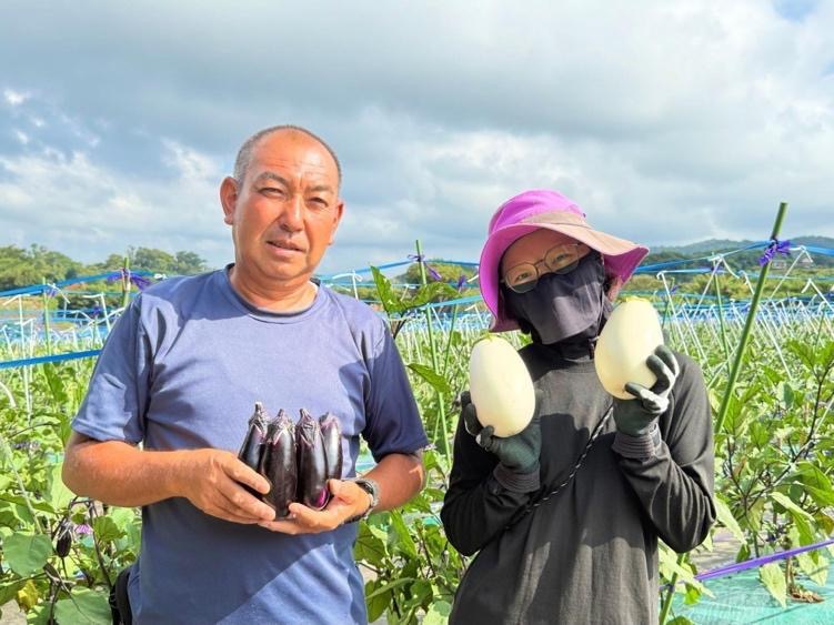 三浦】一度食べたら他のナスには戻れない 須原農園こだわりの「実生