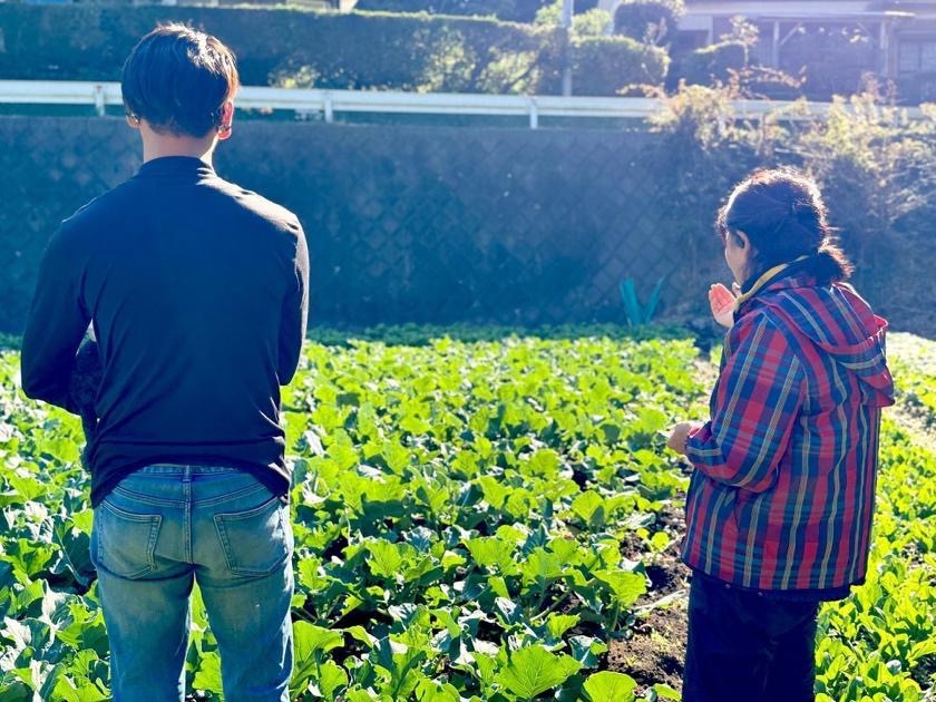 三浦】煮物だけじゃない！加藤農園に教わる、大根と暮らしの美味しい