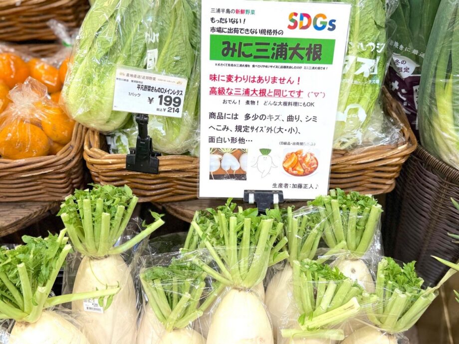 三浦】煮物だけじゃない！加藤農園に教わる、大根と暮らしの美味しい