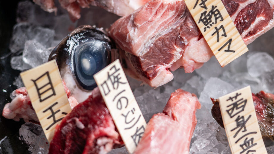 【三崎】驚きと発見の連続！くろば亭の稀少部「まぐろの頭刺身盛」