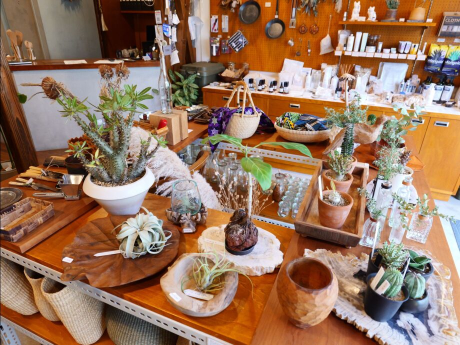 こだわりの日用品・雑貨が集る「STOVE」石川隼さんのコンセプトは愛着