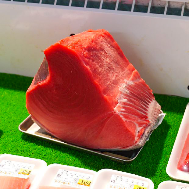 【三崎港】4代続く鮮魚店「魚音」著名人も夢中の三崎産マグロとトロトロ煮