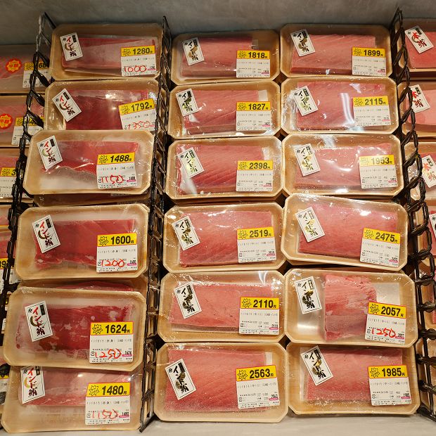 【三崎港】驚きの安さでマグロを提供する三崎「鈴木水産」の秘密