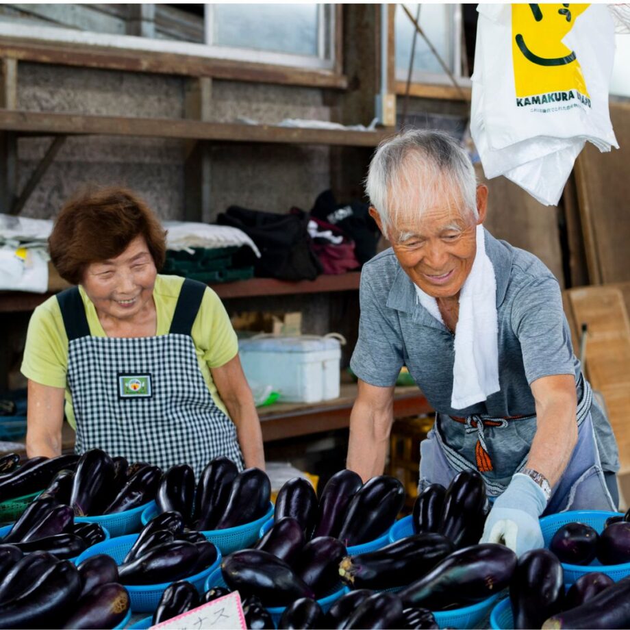 【逗子】飯田さんご夫婦が手塩に掛けた野菜と出会える逗子生産直売所